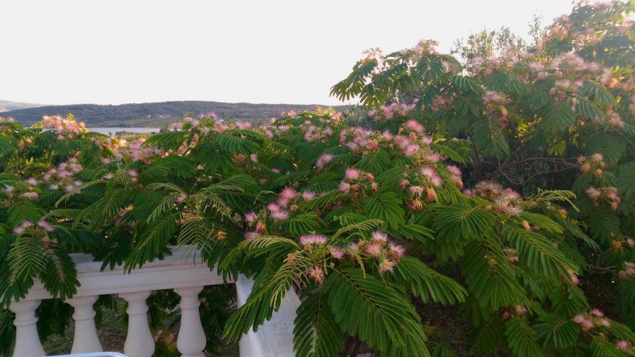 The Garden Of Elais Villa Šibenik Buitenkant foto